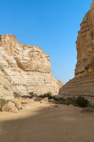 Ein Avdat 'taki yürüyüş yolu İsrail' in güneyindeki Negev Çölü 'nde güzel bir kanyon..