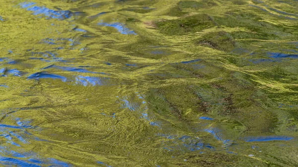 Groen Abstract Water Van Een Rivier Schaduw Minnesota Verenigde Staten — Stockfoto