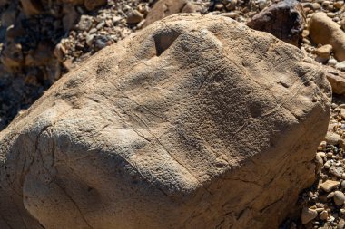 İsrail 'deki Yahudi Çölü' nde ilginç desenli kaya.