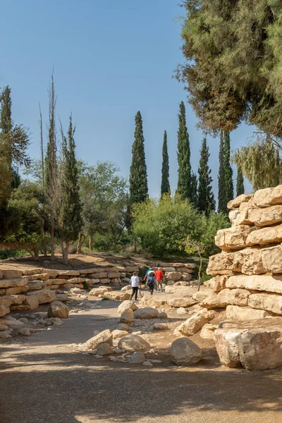 Sde Boker Israël Octobre 2022 Parc National Des Arbres Des — Photo