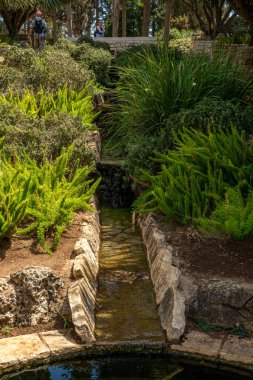 İsrail 'in Zichron Yaakov yakınlarındaki Ramat Hanadiv parkında su var..