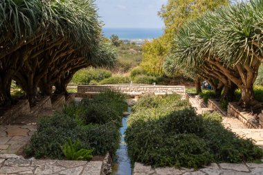 İsrail 'in Zichron Yaakov yakınlarındaki Ramat Hanadiv parkında su var..