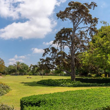 Zichron Yaakov, İsrail yakınlarındaki güzel manzaralı park Ramat Hanadiv. 