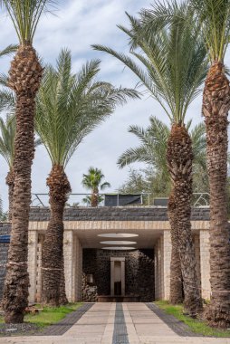 İsrail 'deki Capernaum Ulusal Parkı' nın girişine giden palmiye ağaçlarıyla dolu sütunları olan yürüyüş yolu..