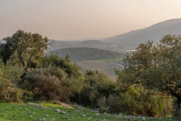 Piękny Widok Izraela Narodowy Szlak Północnym Izraelu Między Zubidat Kfar — Zdjęcie stockowe