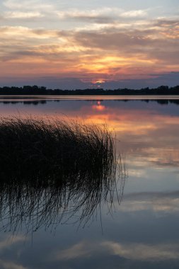 ABD 'nin Minnesota kentindeki Kuzey Kaplumbağa Gölü' nde bulutların ve ağaçların yansımasıyla renkli bir yaz günü.