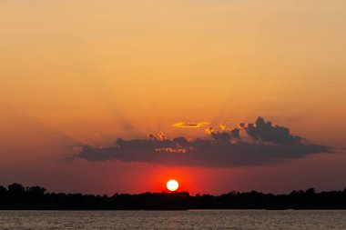 ABD 'nin Minnesota kentindeki Kuzey Kaplumbağa Gölü' nde Tanrı 'nın ışınları ve ağaçlarıyla turuncu yaz günbatımı.