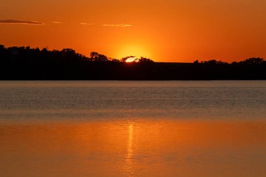 Minnesota, ABD 'deki Ten Mile Gölü' ndeki ağaçların siluetteki yansımasıyla turuncu yaz günbatımı.