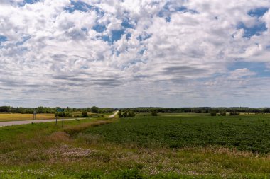 Amerika Birleşik Devletleri 'nin orta Minnesota kentinin kırsal kesimlerinde farklı ekinlere sahip verimli bir kırsal bölge..