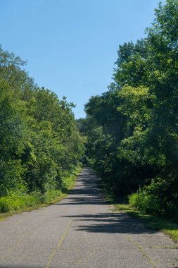 ABD 'nin Minnesota kırsalındaki ağaçlık bir yolun merkez hattına bakıyorum. .