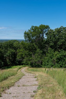 Batı Minnesota 'daki Inspiration Peak State Park' taki ormandan geçen yol.. 