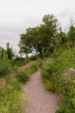 Yazın Minnesota, Pelikan Rapids yakınlarında Maplewood Eyalet Parkı 'nda yürüyüş yolu..