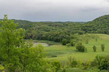 Minnesota, Pelikan Rapids yakınlarındaki Maplewood Eyalet Parkı 'ndaki çayır ve ağaçların manzarası.