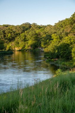  Yazın Minnesota, ABD 'de ağaçlar ve mavi gökyüzü bulunan bir su kütlesi..