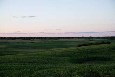Amerika Birleşik Devletleri 'nin orta Minnesota kentinin kırsal kesimlerinde farklı ekinlere sahip verimli bir kırsal bölge..