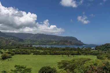 Hanalei Körfezi 'nin bereketli vadisinin, dağların ve Amerika Birleşik Devletleri' nin Hawaii eyaletinin Kauai kentindeki Pasifik Okyanusunun manzarası.. 