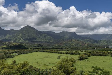 Hanalei Körfezi 'nin bereketli vadisinin, dağların ve Amerika Birleşik Devletleri' nin Hawaii eyaletinin Kauai kentindeki Pasifik Okyanusunun manzarası.. 