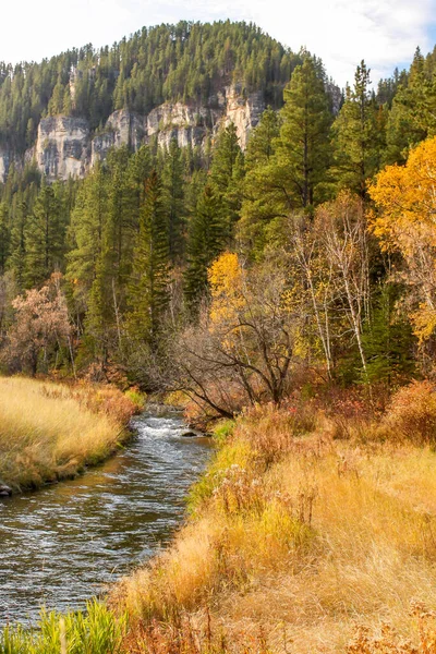 A small stream in the Fall in the Black Hills in South Dakota, United States.