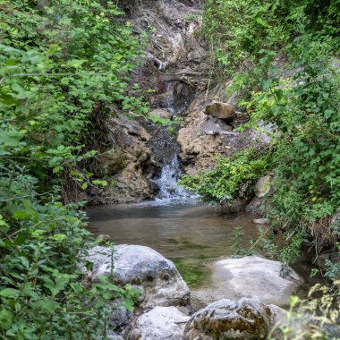 Nahal Hashofet deresinin bir kısmı Ramat Menashe Ormanı 'nda. İsrail' deki Carmel dağ sırasının bir kısmı.