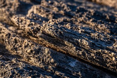 İsrail 'deki Akdeniz' deki Habonim Sahili Doğa Rezervi 'nde lav kayaları ve bazalt' ın ilginç şekilleri ve desenleri..