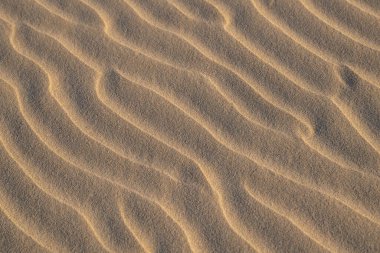 İsrail 'in Habonim Sahili Doğa Koruma Alanı' ndaki Akdeniz sahilinde bir dalga deseni..