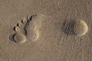 İsrail 'in HaBonim Sahili Doğa Koruma Alanındaki Akdeniz sahilindeki kumların üzerinde tek bir ayak izi.. 
