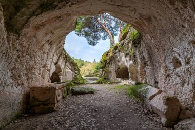 Cave of the lone sarcophagus at Beit She'arim in Kiryat Tivon, Israel clipart