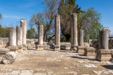 İsrail 'in kuzeyinde, Lübnan sınırı yakınlarındaki Bardaki Antik Barda Sinagog Hanımefendileri Ulusal Parkı..