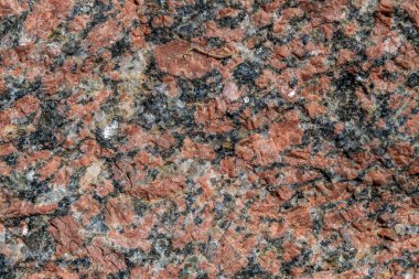 Bazıları Caesarea, İsrail 'deki Caesarea Ulusal Parkı' nda bulunan kırmızı granit kayalara yakın durun..