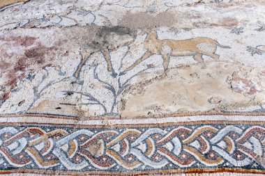 Caesarea, İsrail 'deki güzel Ibexes Mozaik Salonu..