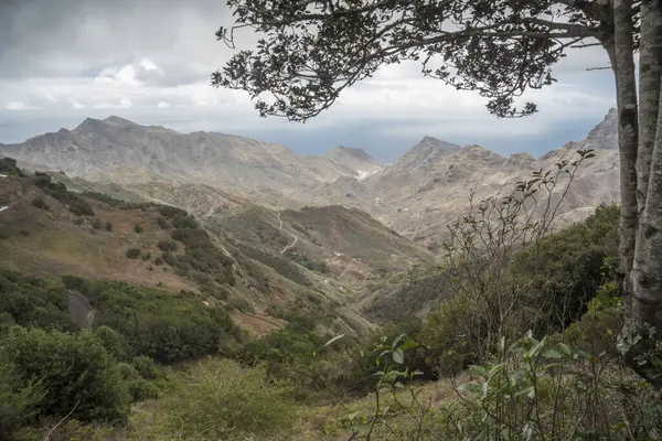 Tenerife Adası, Kanarya Adaları, sonsuz yazın yaşandığı yer, Atlantik Okyanusu, dağlar, güzel doğa, güzel plajlar.