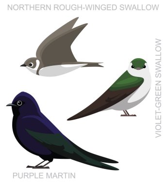 Cute Bird Purple Martin Swallow Set Cartoon Vector clipart