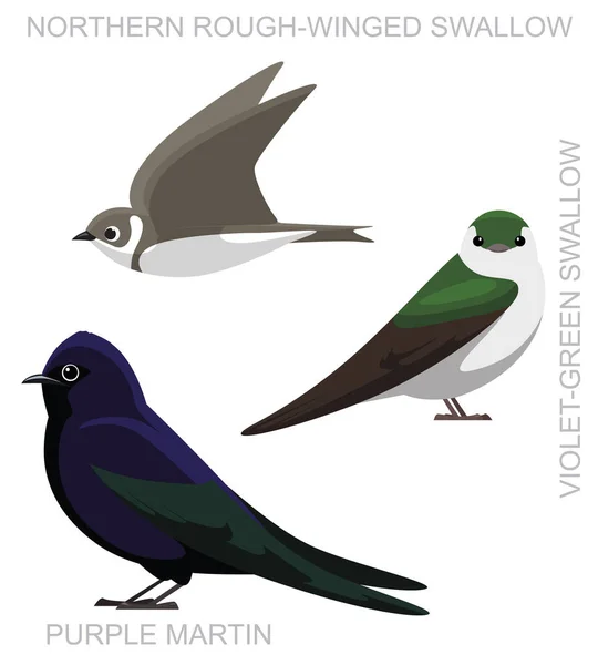 Cute Bird Purple Martin Swallow Set Cartoon Vector — 스톡 벡터
