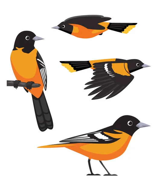 Mignon Oiseau Baltimore Oriole Cartoon Vector — Image vectorielle