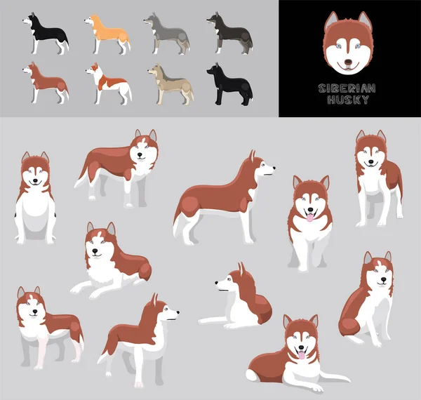 Cão Siberian Husky Red Brasão Cartoon Vector Ilustração Cor Variação —  Vetores de Stock