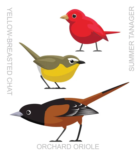 Cute Bird Orchard Oriole Chat Tanager Set Cartoon Vector —  Vetores de Stock