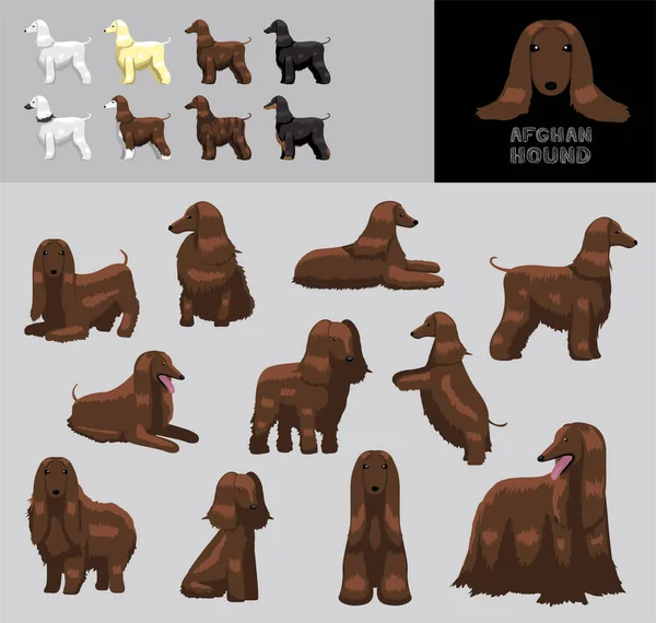 警犬犬棕色斗篷卡通矢量图解颜色变化集 — 图库矢量图片