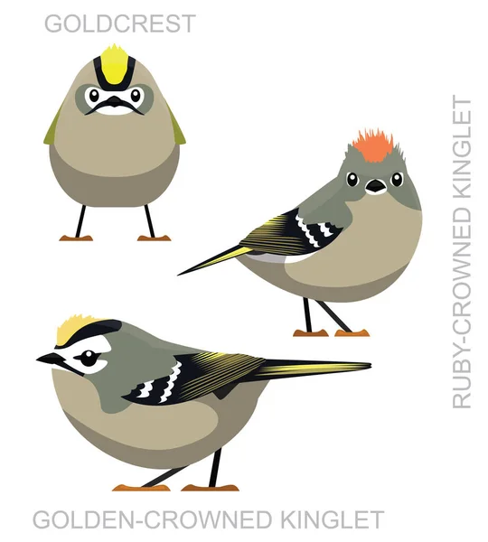Roztomilý Pták Kinglet Goldcrest Set Cartoon Vector — Stockový vektor