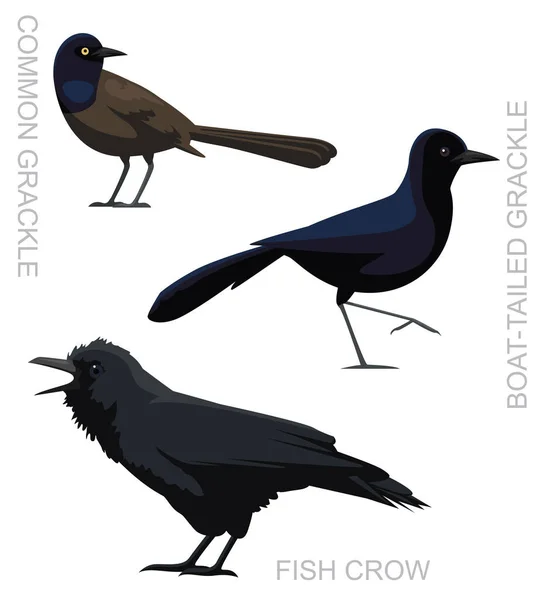 Cute Bird Grackle Fish Crow Set Cartoon Vector — Vetor de Stock
