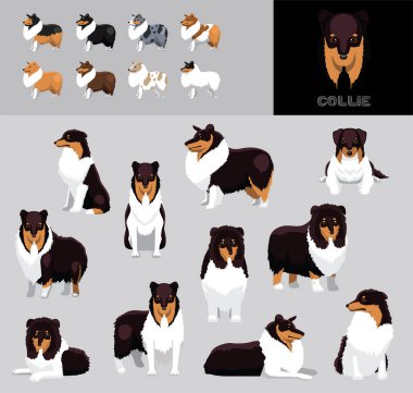 Dog Collie Siyah Ceket Çizgi Filmi Vektör Resimlendirme Renk Değişikliği Ayarları
