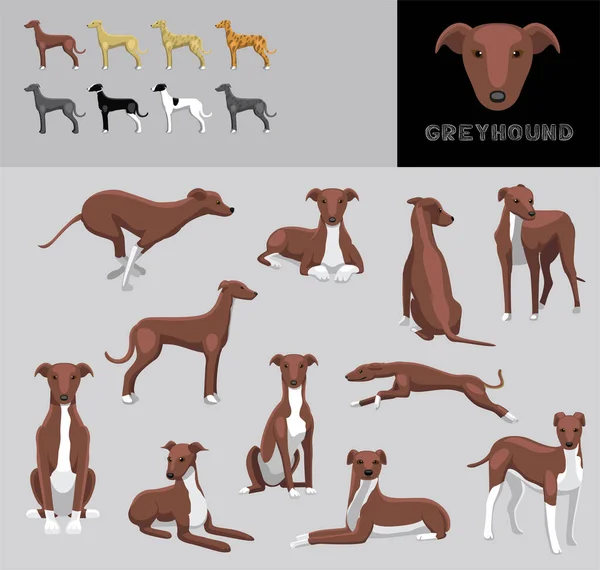 Dog Greyhound Red Coat Cartoon Vector Illustration Color Variation Set — Stockový vektor