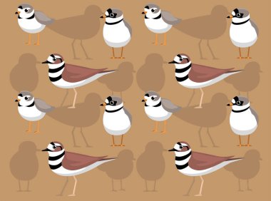 Kuş Sürtünme Karakteri Kusursuz Duvar Kağıdı Arkaplanı