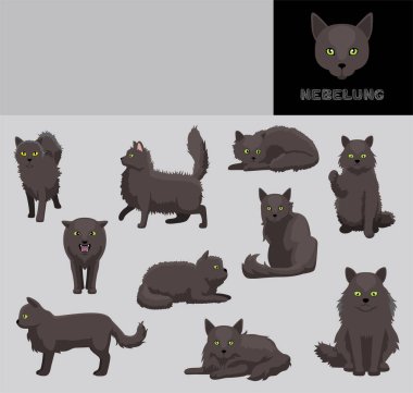 Kedi Nebelung Çizgi Film Vektörü Resimlendirme Renk Değişikliği Ayarları