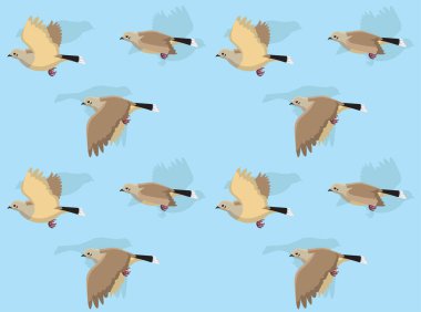 Kuş Yasını Tutan Güvercin Uçuşu Karakteri Kusursuz Duvar Kağıdı Arkaplanı