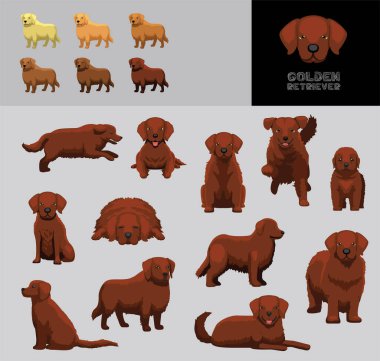 Köpek Golden Retriever Koyu Kahverengi Ceket Çizgi Filmi Vektör Gösterimi Renk Değişikliği Ayarları