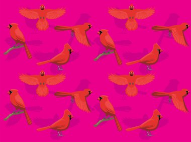 Kuş Kuzey Kardinal Uçan Oturan Karakter Kusursuz Duvar Kağıdı Arkaplanı