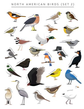 North American Birds Set Cartoon Vector Character 2 clipart