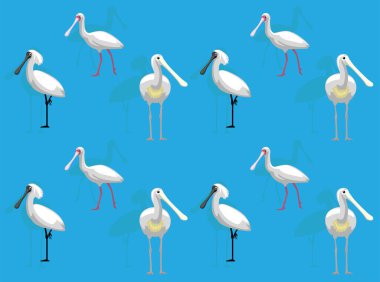 Kuş Kaşık Faturası Karakteri Kusursuz Duvar Kağıdı Arkaplanı