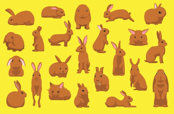 Cute Brown Rabbit Poses Cartoon Vector Illustration — Archivo Imágenes Vectoriales