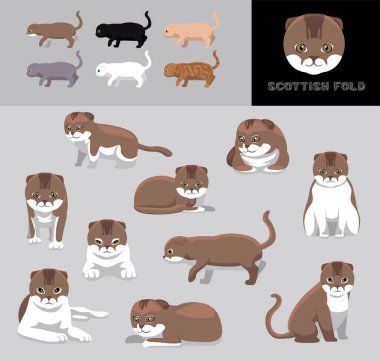 Cat Scottish Fold Cartoon Vector Illustration Color Variation Set